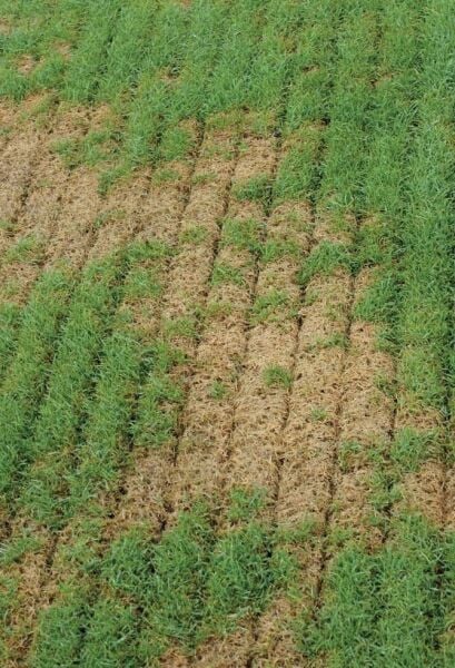 Agrinova JU 949 Benzinli Çekilir Çim Havalandırma Makinesi