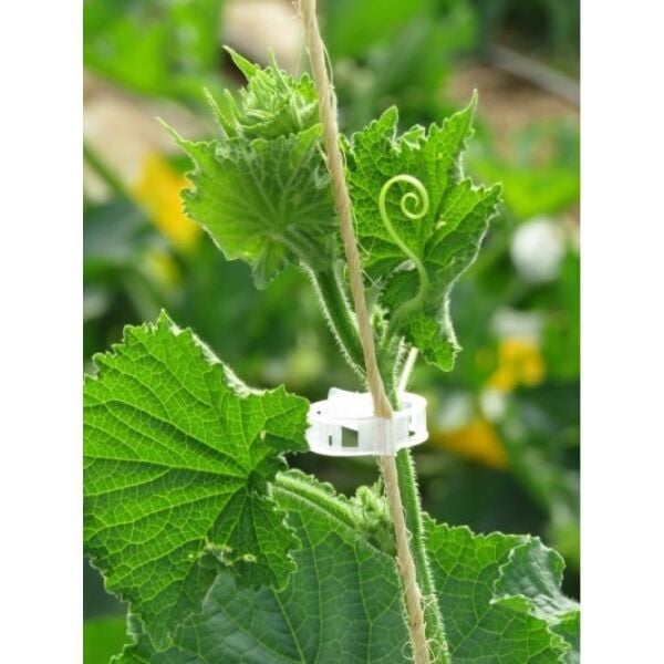 Cmr Domates Klipsi Şeffaf 25mm 1000 Adet