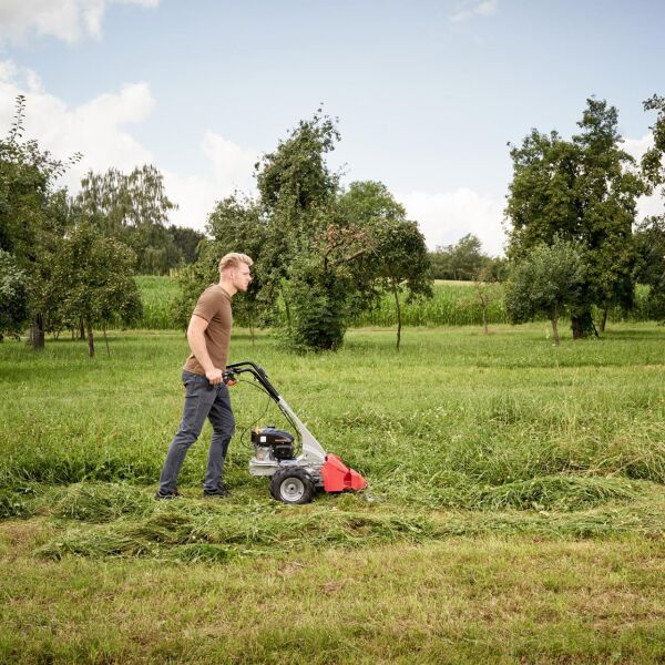 Al-Ko BM 875 IV 4 Hp Benzinli Çayır Biçme Makinesi