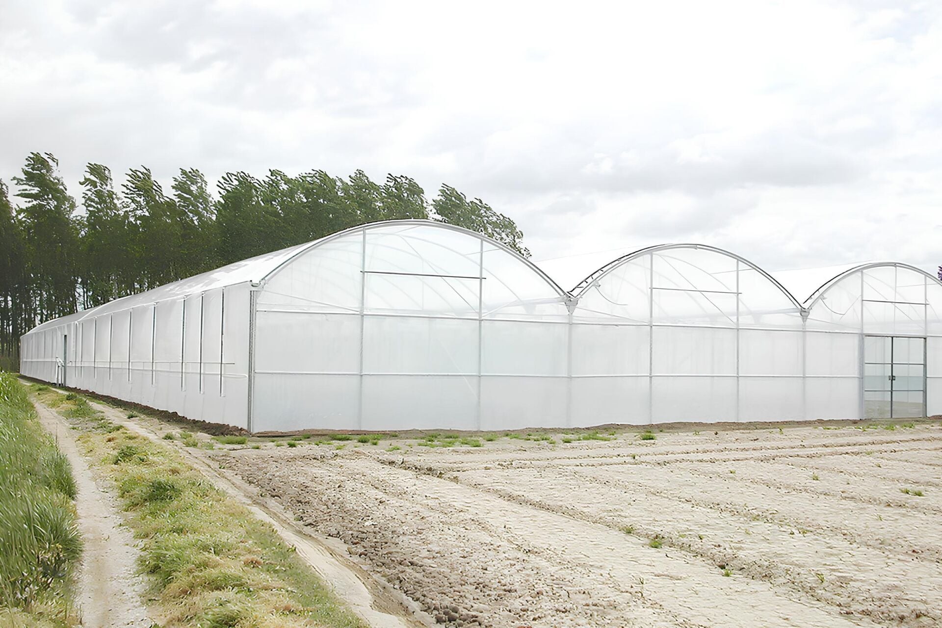 İstanbul Sera Plastik 180 Micron Premium UV+IR Sera Naylonu