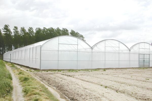 İstanbul Sera Plastik 180 Micron Premium UV+IR Sera Naylonu