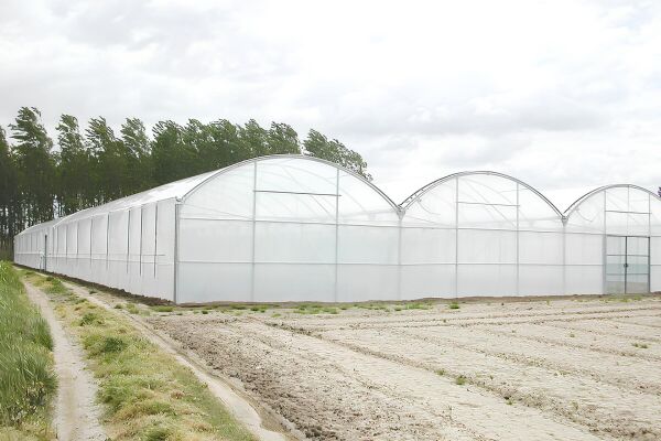 İstanbul Sera Plastik 180 Micron Premium UV+IR Sera Naylonu