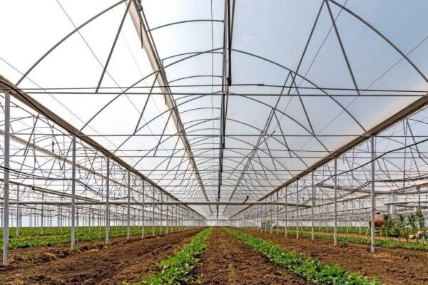 İstanbul Sera Plastik 180 Micron Premium UV+IR Sera Naylonu