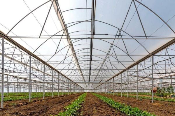 İstanbul Sera Plastik 180 Micron Premium UV+IR Sera Naylonu
