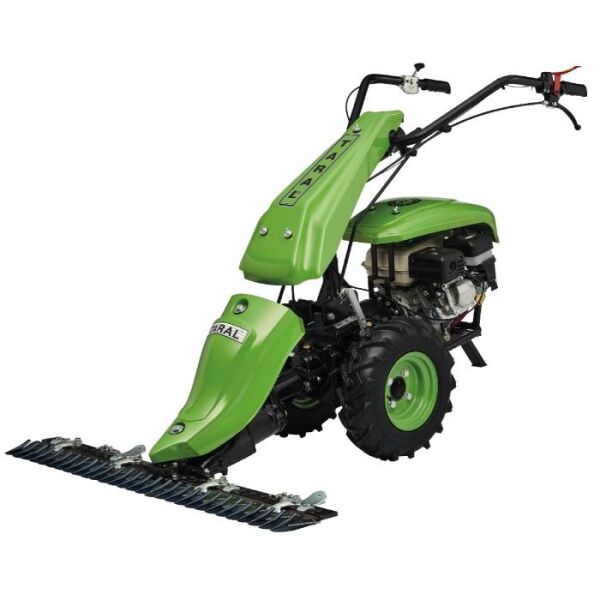 Taral 19S PMG168 6.5 Hp Benzinli Çayır Biçme Makinesi