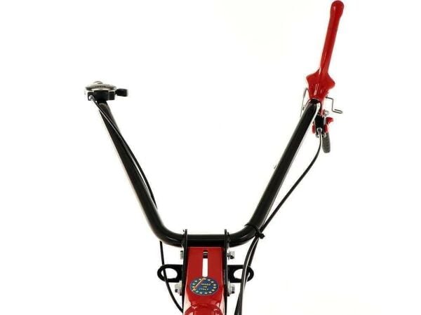 Eurosystems M210 139OHV 3 Hp Benzinli Çayır Biçme Makinesi