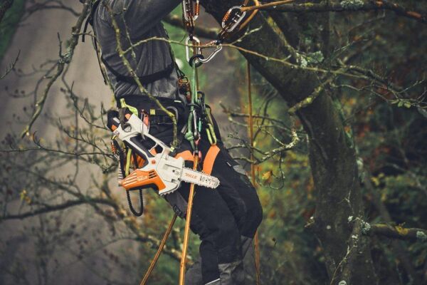 Stihl GTA40 10.8 V Akülü Ağaç Kesme Makinesi