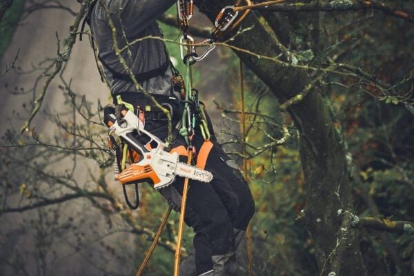 Stihl GTA40 10.8 V Akülü Ağaç Kesme Makinesi