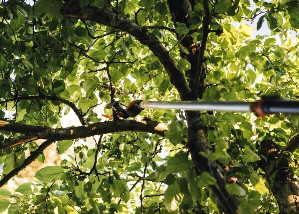 Fiskars 115017 UPX86 PowerGear Teleskopik Yüksek Dal Kesme Makası