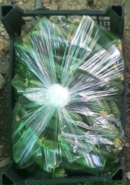 İstanbul Sera Plastik Salatalık ve Patlıcan Poşeti