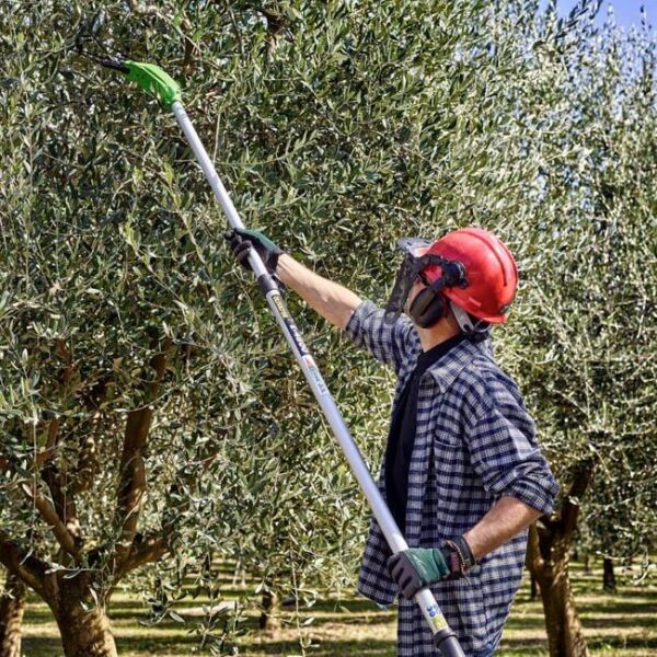 Active 600971 E 1200XL Zeytin Silkeleme Makinesi