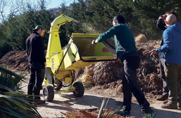 Agrinova ZA350-B2-AS ZAKANDRA Benzinli Dal Öğütme Makinesi