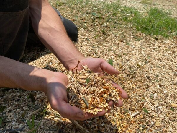 Agrinova ZA350-B2-AS ZAKANDRA Benzinli Dal Öğütme Makinesi