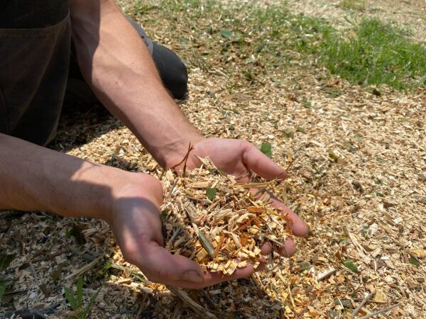 Agrinova ZA350-B2-AS ZAKANDRA Benzinli Dal Öğütme Makinesi