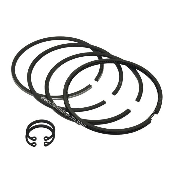 Antor 3LD450 Piston Segman Pim 450 0.50mm