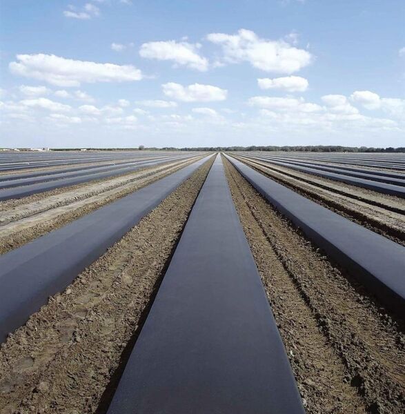 İstanbul Sera Plastik Malç Naylonu Sebze 100 Cm 20 Mikron 250 Mt