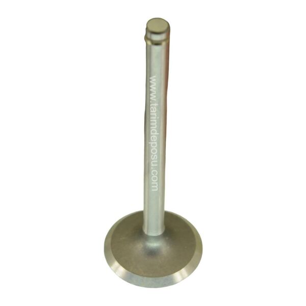 Antor 3LD450-510 Supap Emme