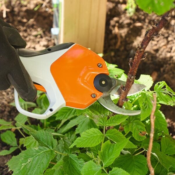 Stihl ASA20 25 Mm Akülü Budama Makası