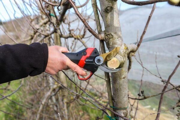 İnfaco F3020 40 Mm Akülü Budama Makası