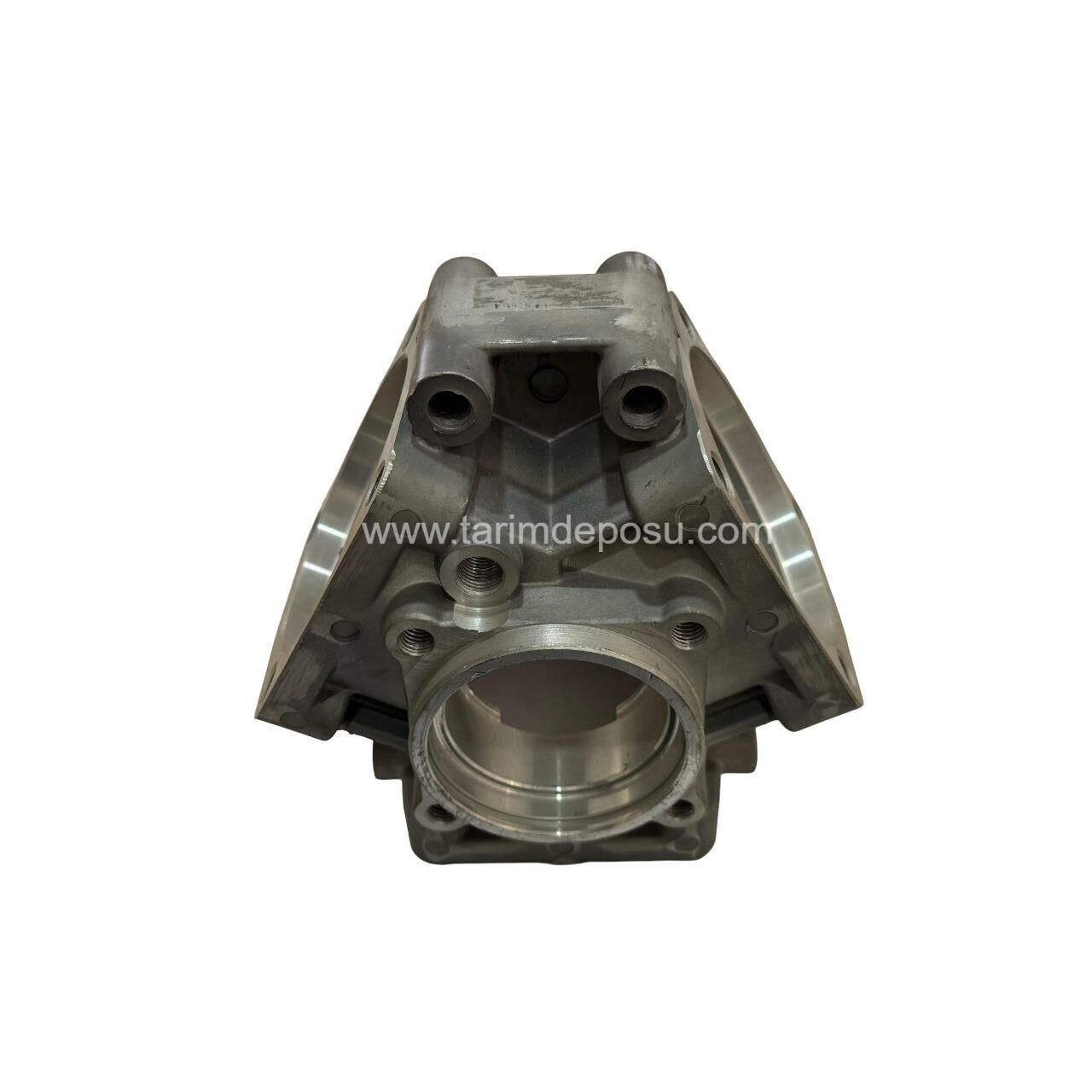 Global Taral Gövde Pompa TAR60/80